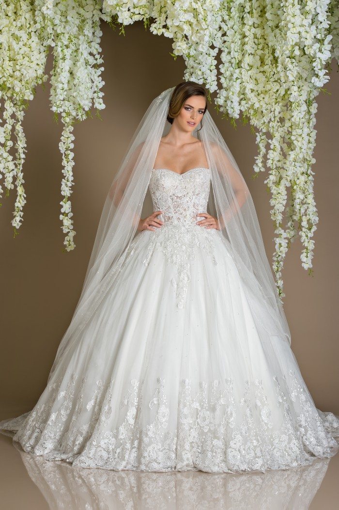 Solida Fashion376