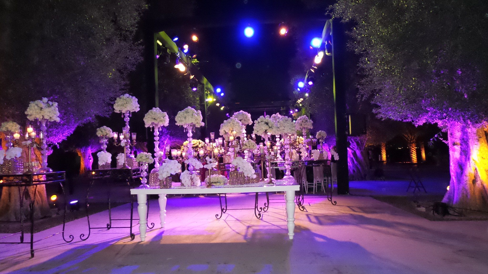 Desert Palm Per Aquum – the Perfect Wedding Venue in Dubai