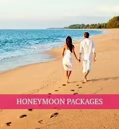 Honeymoon Packages